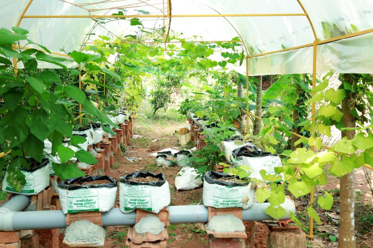Ocean Green Kerala Kannur Luaran gambar