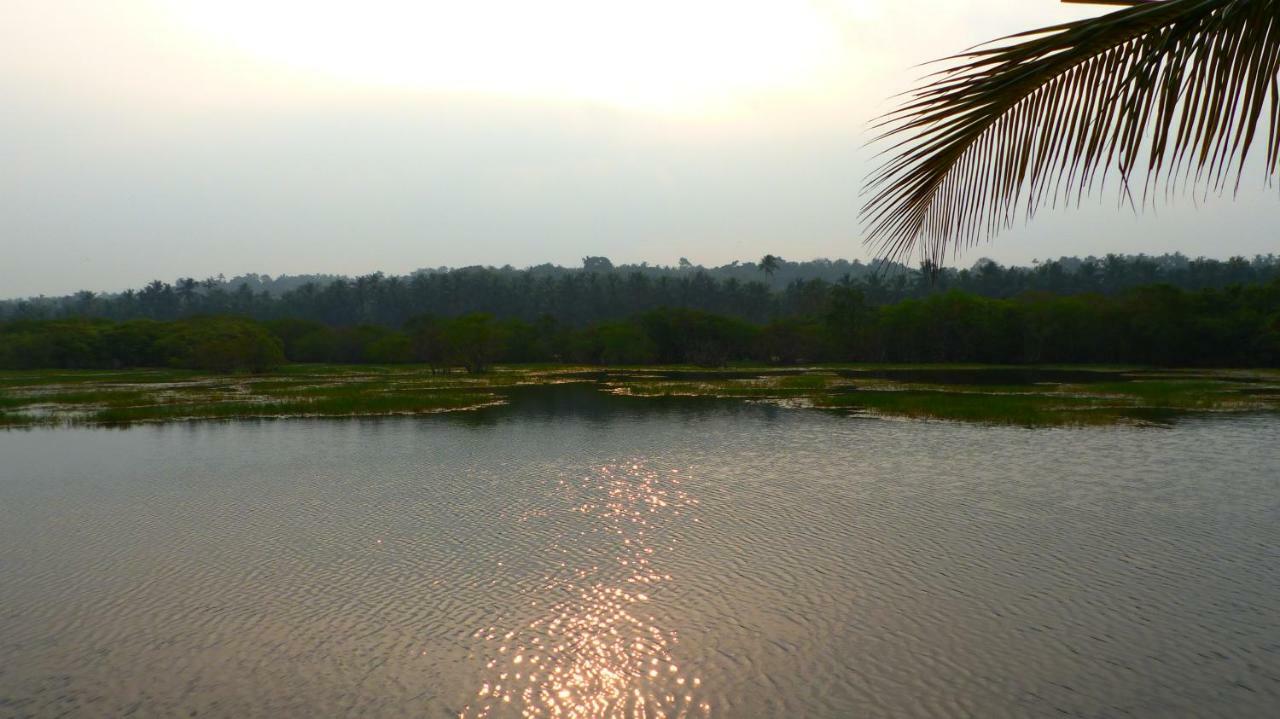 Ocean Green Kerala Kannur Luaran gambar